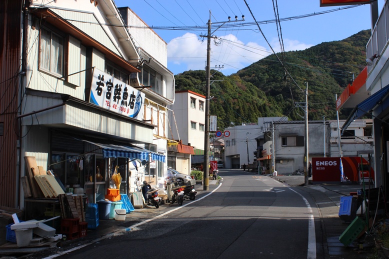 蒲江浦／大分県佐伯市 町並・集落 俯瞰百景